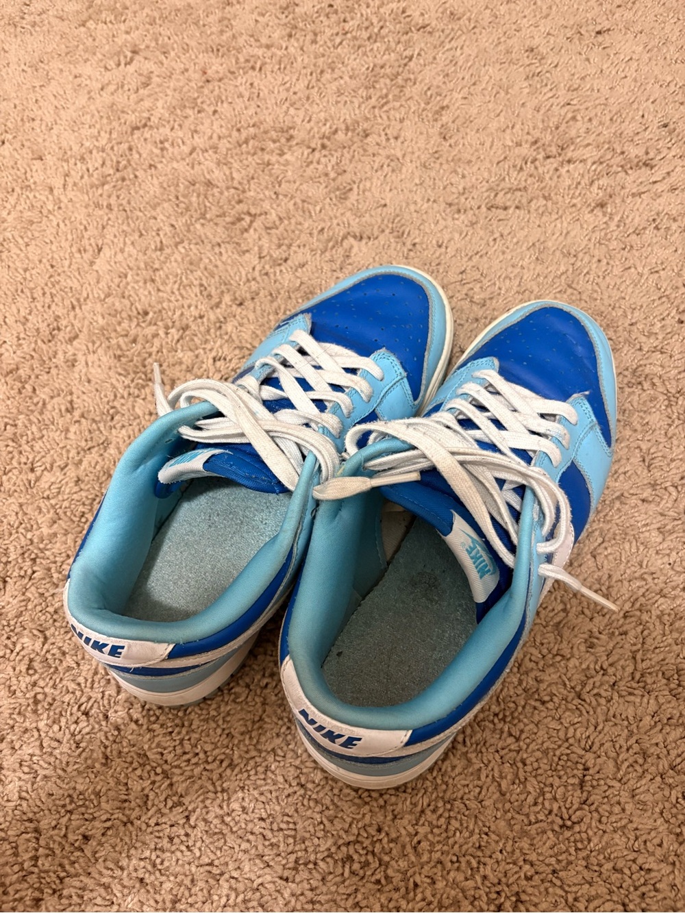 Nike Mens Blue Low-Top Sneakers